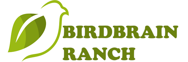Birdbrainranch